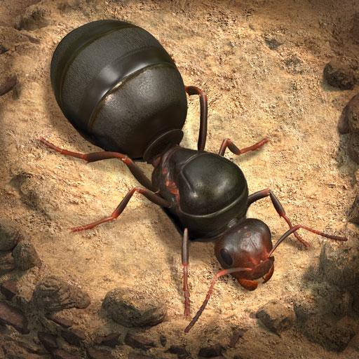 Icon The Ants Underground Kingdom