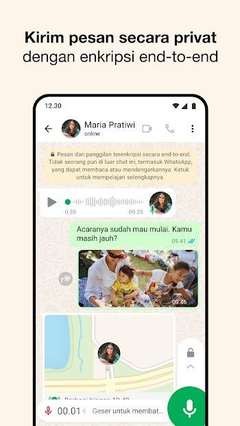 gb whatsapp pro apk download