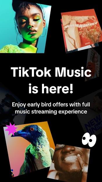 tiktok music mod apk