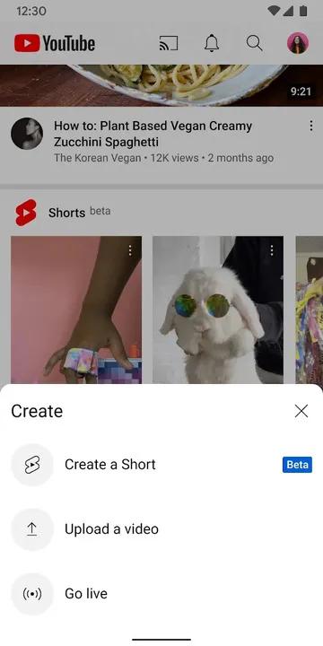 youtube premium 19 16 39 apk