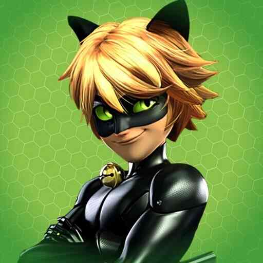 Chat Noir Brasil
