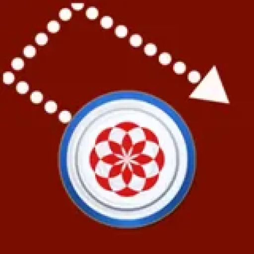 Aim Carrom King