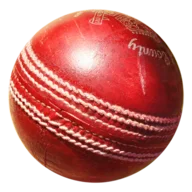 Blind Cricket - icon