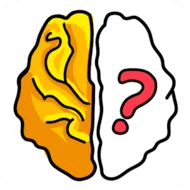 Brain Out