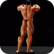 Iron Muscle - Be The Champion APK 1.293 - icon