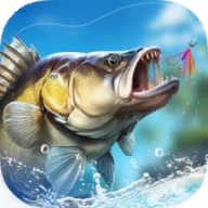 Fishing Travel