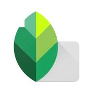 Snapseed – Professional RAW & Detail Editor