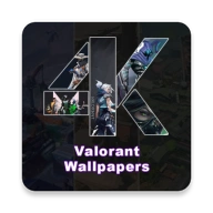 Valorant Wallpapers APK 1.0 - icon