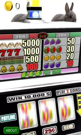 3D Bunny Rabbit Slots screenshot 2
