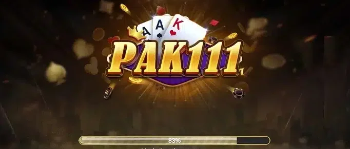 Pak 111 screenshot 2