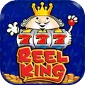 Reel King Megaways Slot - icon