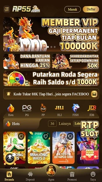 RP55 screenshot 2