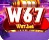 W67 - icon
