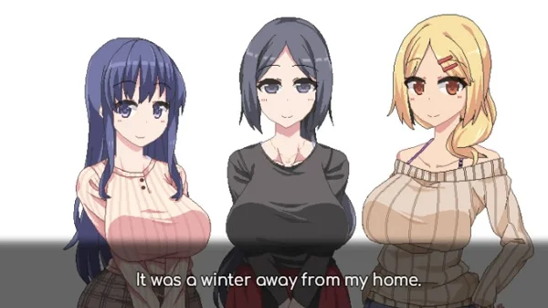 Winter Memories screenshot 2