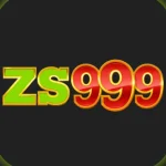 ZS999