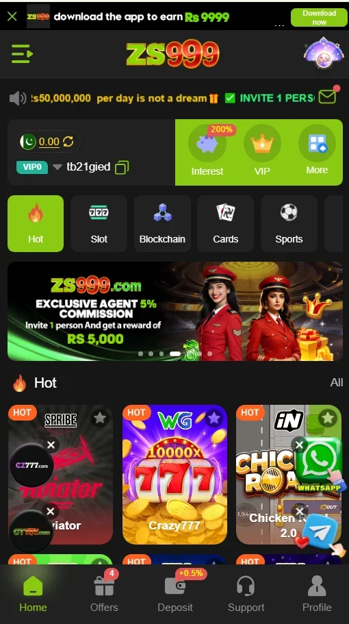 ZS999 thumbnail
