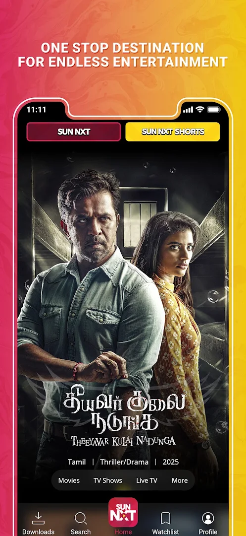 Netflix screenshot 1