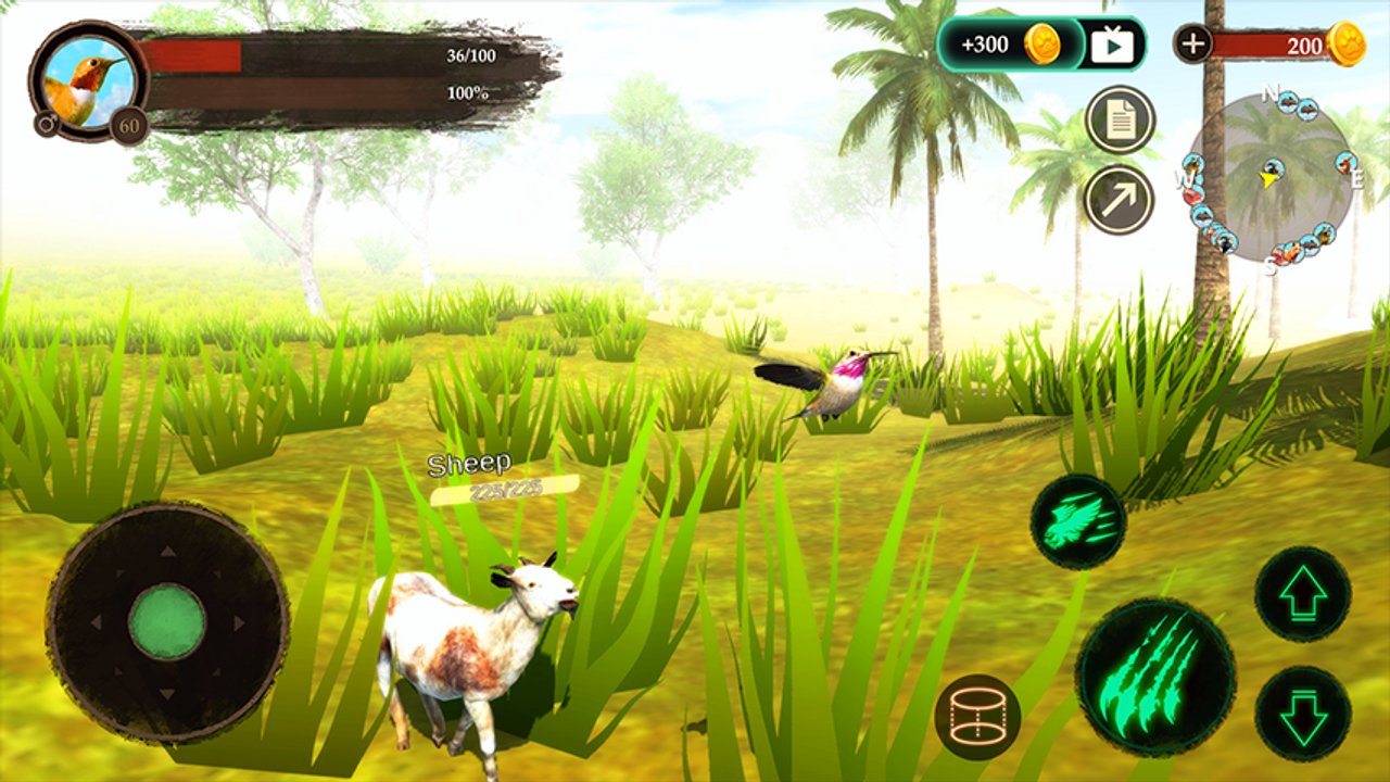 The Hummingbird screenshot 1