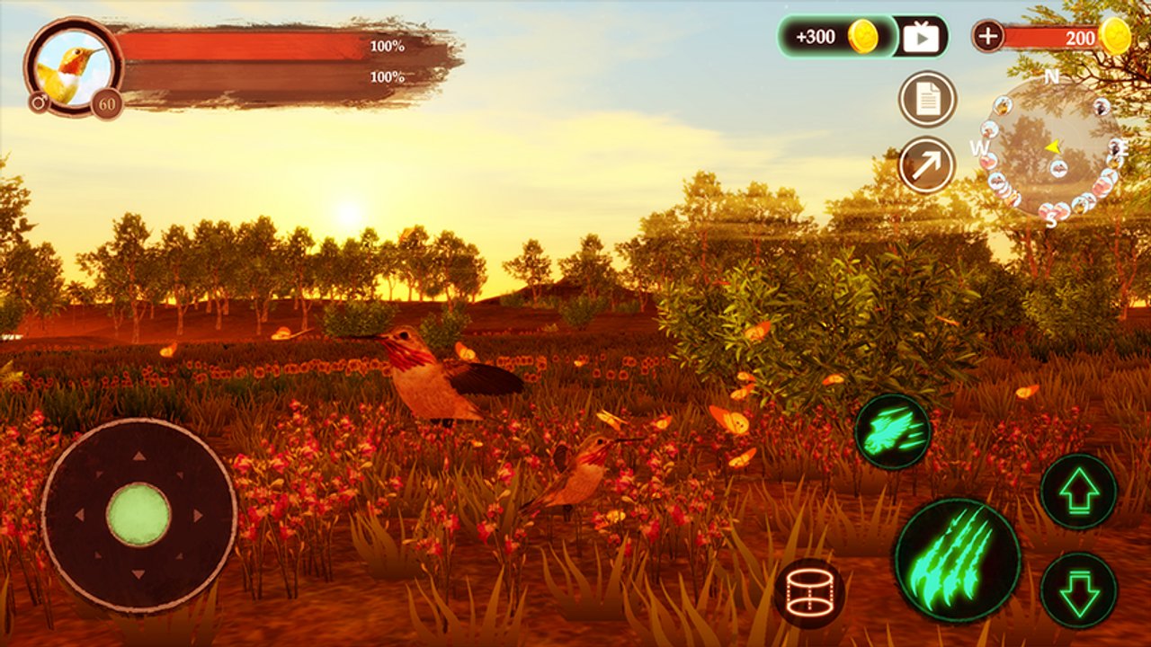 The Hummingbird screenshot 2