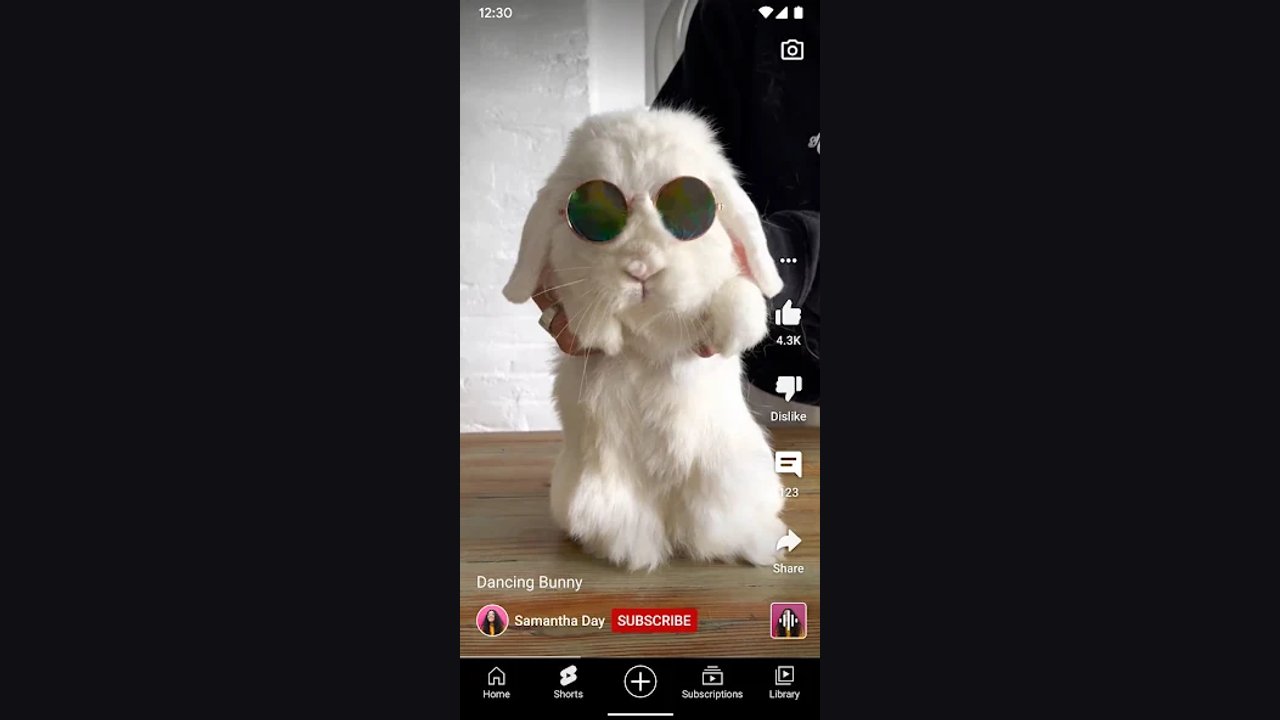 YouTube Premium screenshot 4